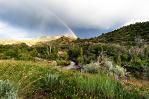 Rainbow arcing over green hills and wildflowers with a stream flowing through Nephi Canyon, Utah.