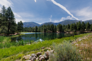 Pine Valley Utah mountain lake surrounded by pines and mountains with clear reflections.