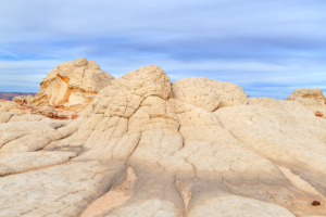 White Pocket sandstone domes in Vermilion Cliffs National Monument, Arizona, with pale cracked rock formations under soft desert light.