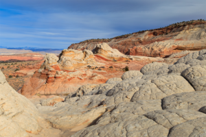Expansive view of White Pocket with cream and red sandstone formations stretching across the desert under a blue sky.
