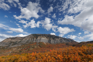 Wasatch Mountains in Utah with cliffs rising above vibrant orange and red fall foliage under a bright blue sky with scattered clouds.