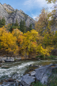 Provo River flowing through Provo Canyon, Utah, surrounded by autumn foliage and steep gray cliffs.