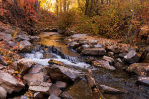 Creek flowing through colorful autumn leaves and rocks in Utah County, Utah.