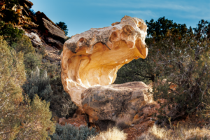 Unique sandstone rock formation in Capitol Reef National Park, Utah, shaped like a natural wave or shell among desert vegetation.