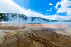Terraced mineral formations leading to a steaming hot spring in Yellowstone National Park with forested hills in the background.