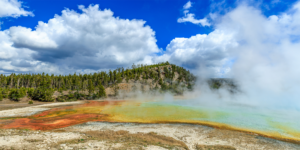 Colorful hot spring in Yellowstone National Park, Wyoming, with orange, yellow, and green mineral pools surrounded by rising steam and pine forest.
