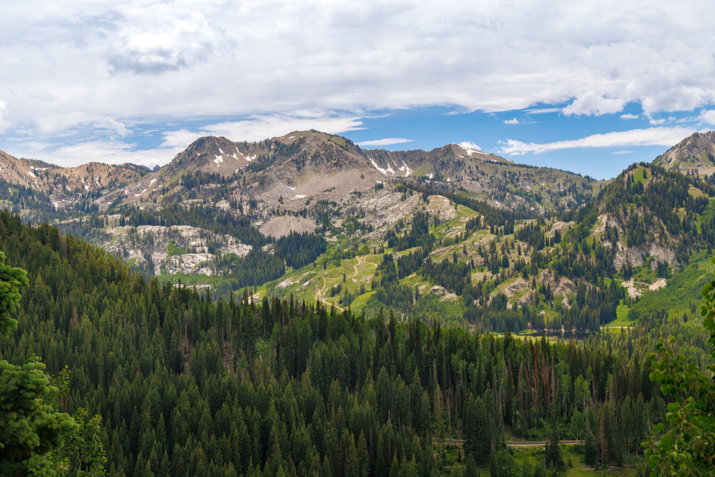 View of Silver Lake and Brighton area in summer