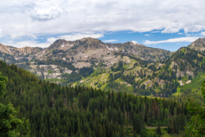 View of Silver Lake and Brighton area in summer