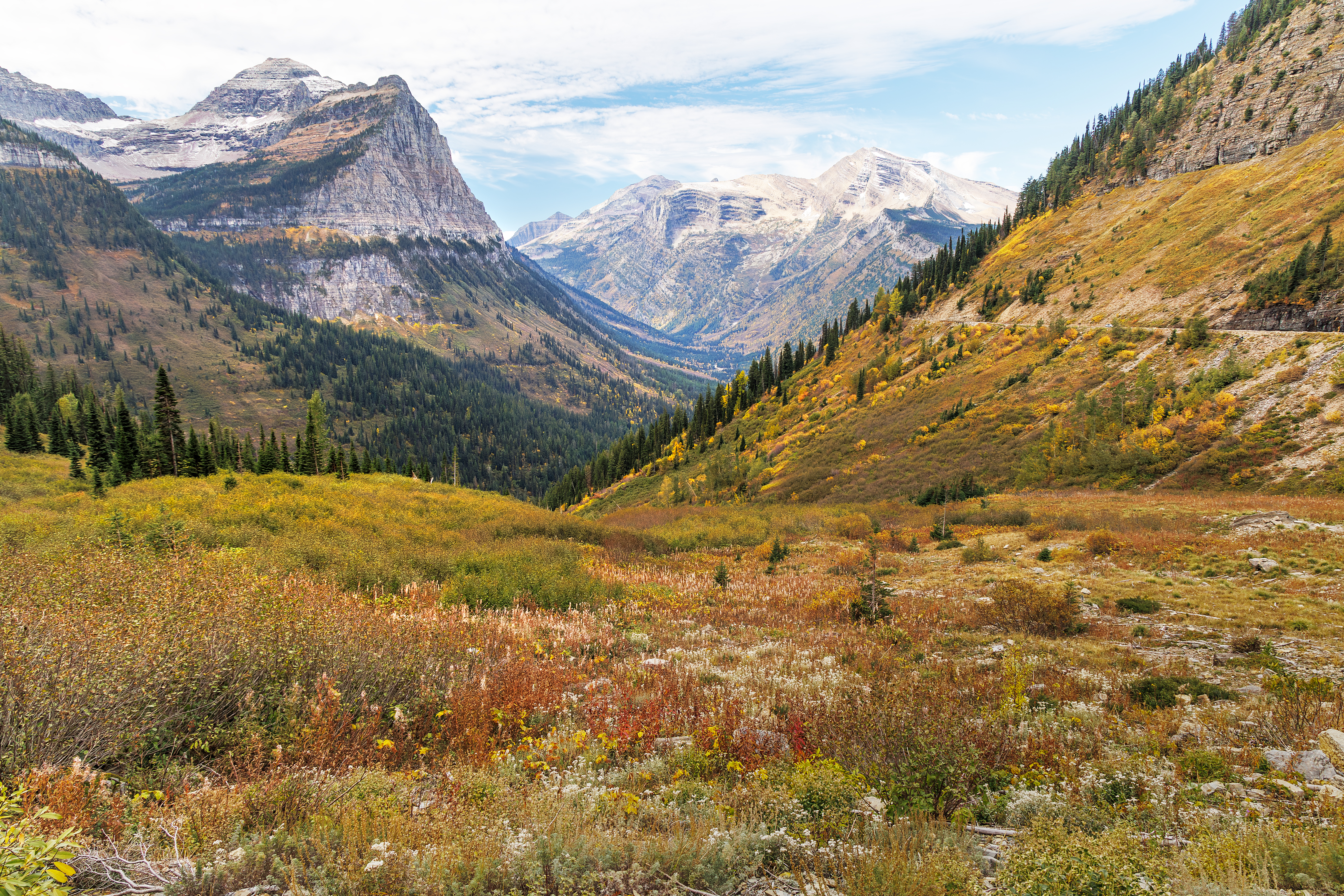 Autumn colors in the valleys along Going-to-the-Sun Road with mountain peaks in Glacier National Park, fine art landscape photography