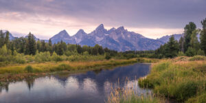 Grand Teton mountains reflected in calm water at Schwabacher Landing during soft evening light, Grand Teton National Park landscape photography