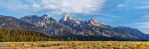 Grand Teton mountain range with forest and meadow in Wyoming