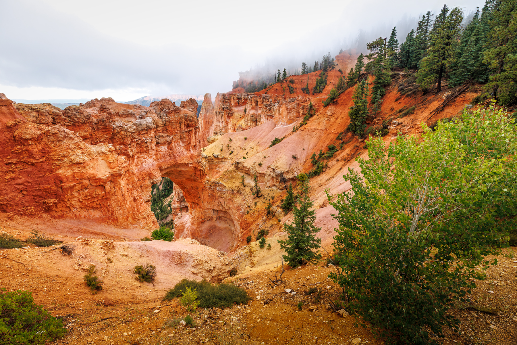 MG_5923-1.webp Natural Bridge rock arch in Bryce Canyon National Park Utah
